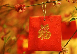 上上签姻缘文案(姻缘签的上上签有哪些)