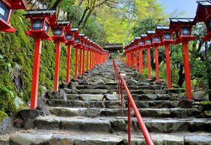 贵船神社姻缘(贵船神社传说)