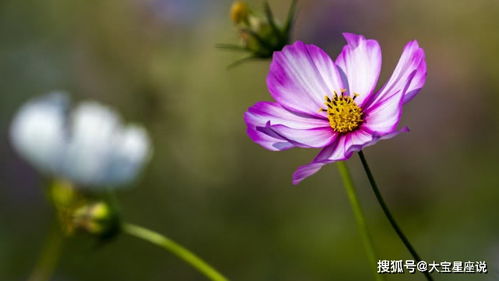 结的好姻缘(好的姻缘怎么说)