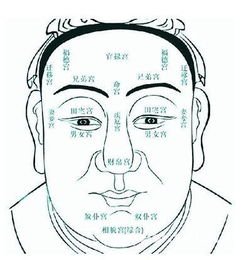 壬辰女命姻缘(壬辰女命配偶长相)