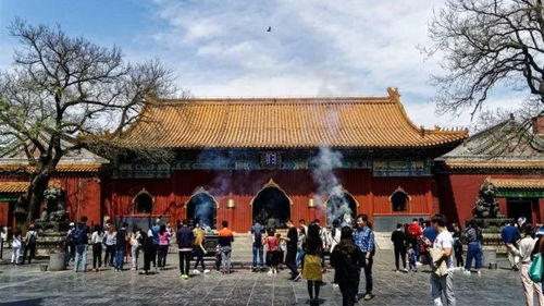 雍和宫祈福求姻缘(雍和宫求姻缘拜哪个殿)