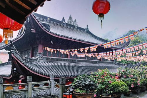 上海算姻缘寺庙(求姻缘上海哪个寺庙灵吗)