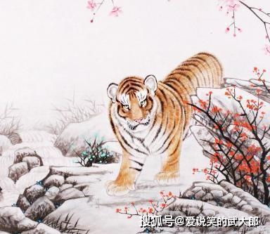 虎属姻缘(属虎姻缘配对)