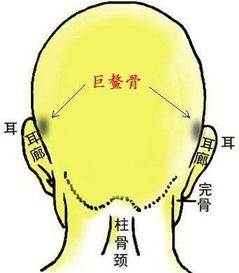 骨骼看姻缘(如何看骨相)