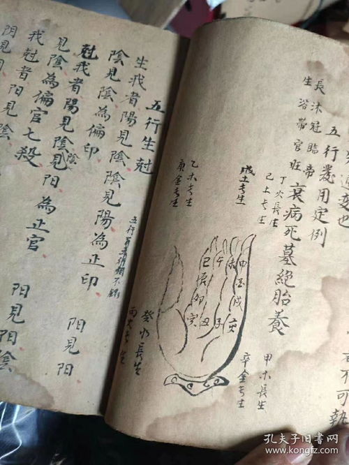 姻缘卜卦批文(姻缘卦怎么算)