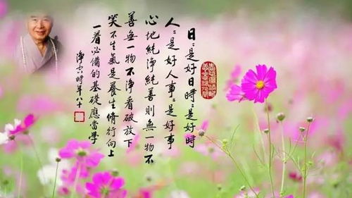 听自然姻缘(自然姻缘是什么意思)