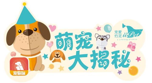 天赐姻缘礼(天赐姻缘指什么动物)