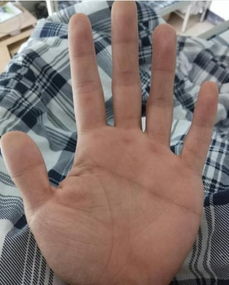 断掌断姻缘(断掌婚姻)