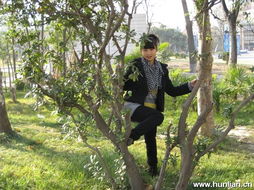 渭南姻缘群(渭南征婚)