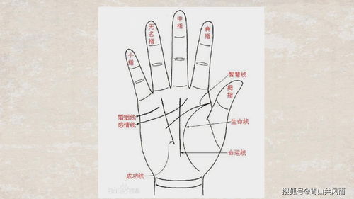 掌纹测姻缘(看手掌纹算姻缘)