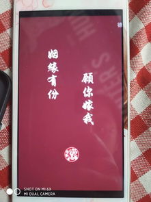 愿力求姻缘(求姻缘还什么愿)