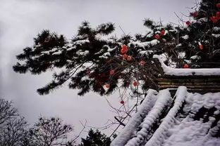 什么山姻缘(什么山求姻缘最灵验的)