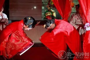 看未来姻缘(姻缘即将到来的预兆)