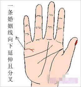 断掌姻缘线(断掌哪条是婚姻线)
