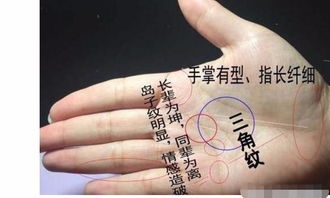小拇指姻缘(小拇指子女缘)