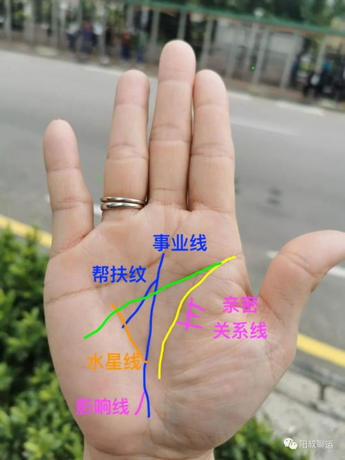 姻缘线手掌(姻缘线左手为准还是右手)