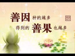姻缘果报屋(姻缘果报因缘果报txt)