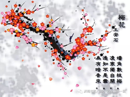 梅花姻缘诗(梅花在婚姻中的寓意)