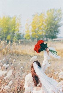 桃花姻缘测试(免费测桃花姻缘)