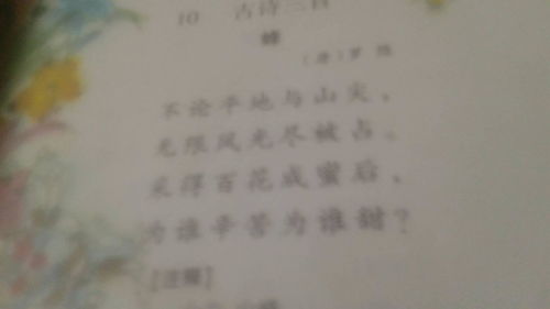 姻缘旬空(旬空在夫妻宫什么意思)