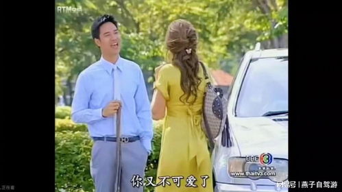 这就是姻缘(这就是缘分电视剧)