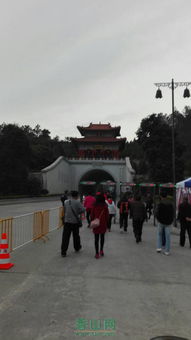 金台寺姻缘(金台寺求什么)