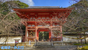 京都寺庙姻缘(京都著名的寺庙神社)