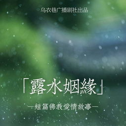 为露水姻缘(露水姻缘会有结果吗)