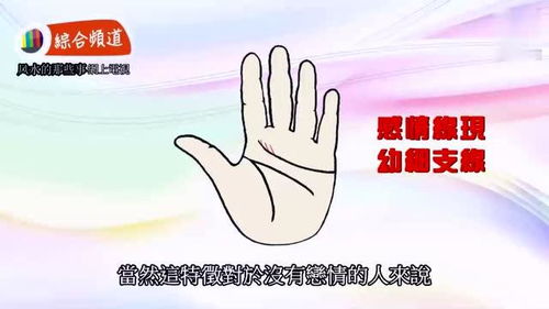 姻缘自动来(姻缘来临会有预兆吗)