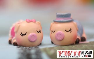 猪配姻缘(猪的姻缘与什么配)