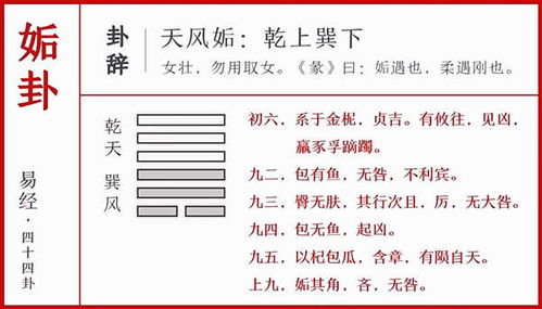 姻缘卦姤(姻缘卦象解析)