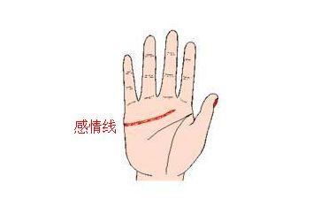姻缘线太浅(姻缘线很短,怎么办)