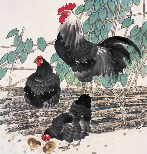 属相鸡姻缘(属鸡的缘分)