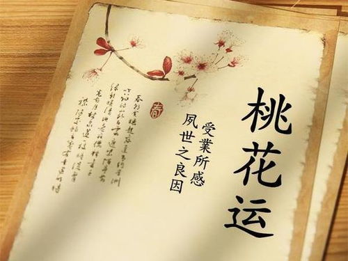 风水姻缘标题(风水姻缘标题怎么写)