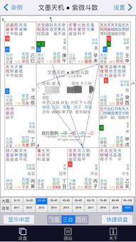 算星盘姻缘(星盘姻缘怎么看)