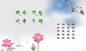放生利姻缘(放生得好姻缘)