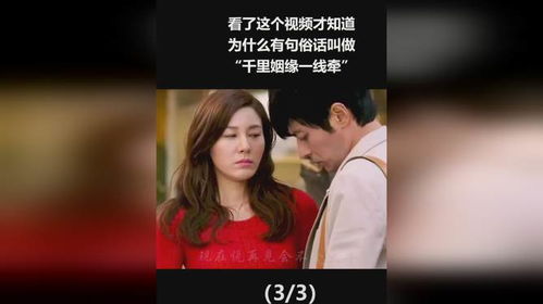 姻缘视句(姻缘视频)