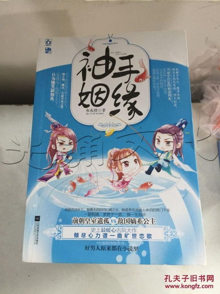 袖底姻缘(袖手姻缘txt)