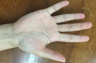 手相好姻缘(手相 姻缘)