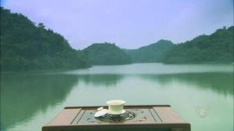 碧水姻缘(碧水缘茶叶)