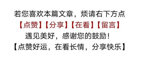 姻缘信息(姻缘网哪个网站好)