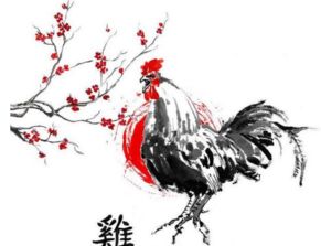 姻缘连理(姻缘连理是什么意思)