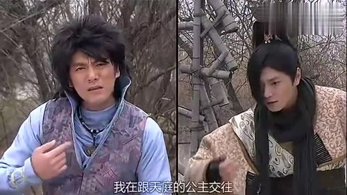 婵娟姻缘(婵娟是男是女)