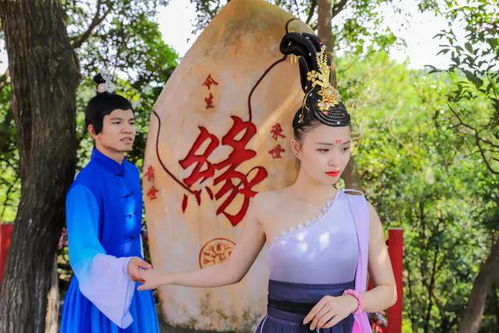 寸心姻缘(姻缘心愿)