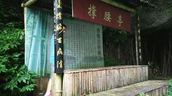 落地姻缘(缘分落地生根什么意思)