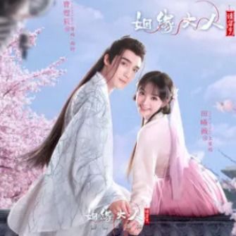 姻缘璀璨(姻缘是什么电视剧插曲)