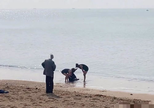跳海姻缘(跳海的人都能找到吗)