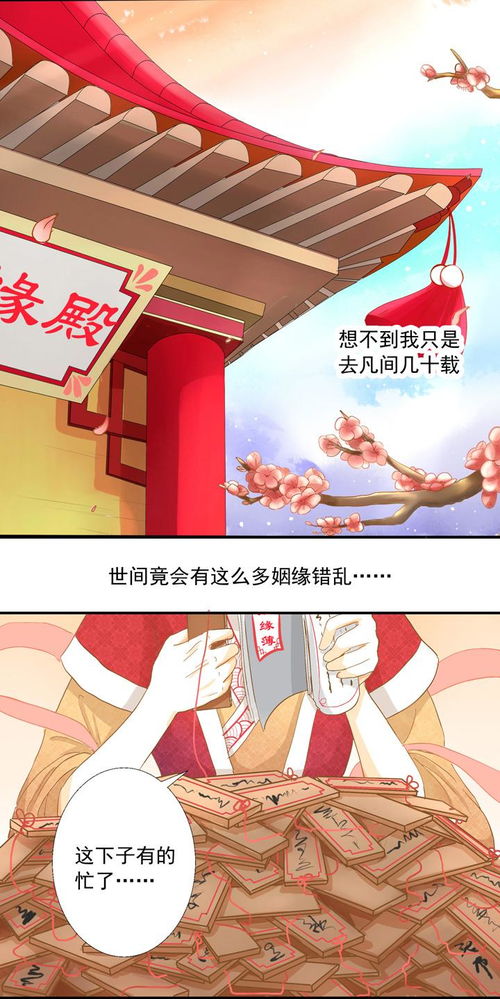 姻缘单元(姻缘》