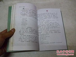 泊烟的千里姻缘全文(泊烟的作品集)
