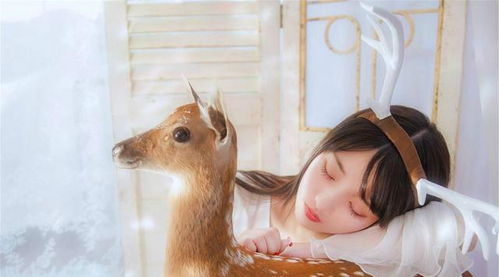 天公作美成姻缘的出处(天公作美结姻缘什么生肖动物)
